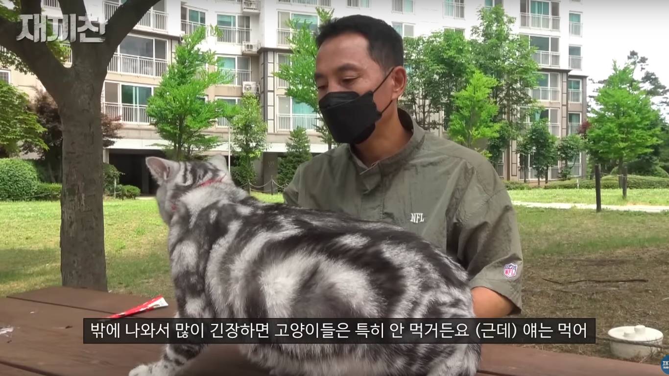 고양이 산책 시키는 강아지 훈련사 이찬종 선생님 | 인스티즈