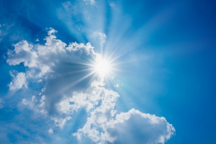 무더운 여름 반려견을 키운다면 조심해야할 입마개 착용 | 인스티즈