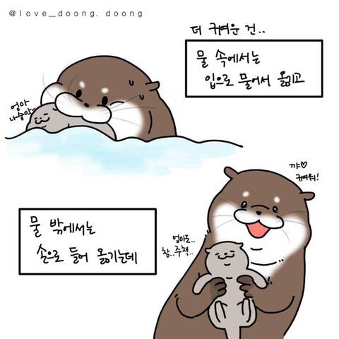 새끼를 낳으면 자랑하는 습성이 있는 어미수달 | 인스티즈