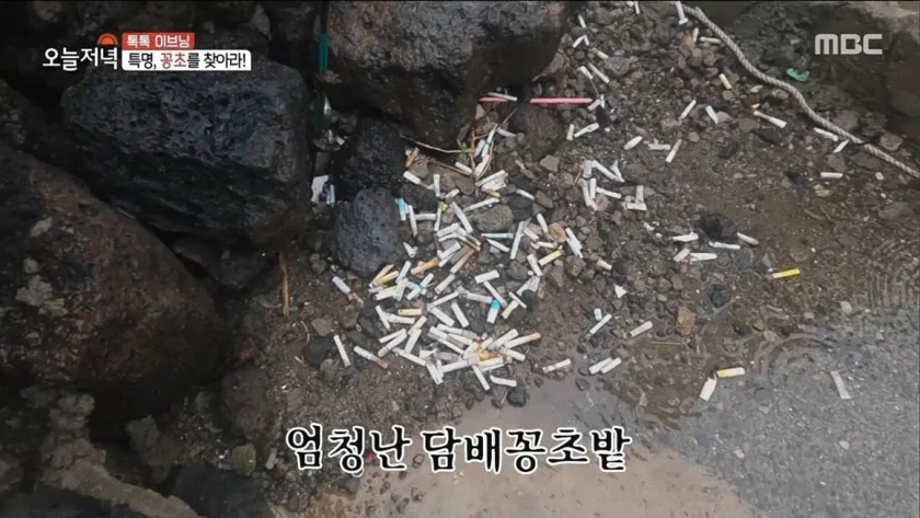 제주도에 있는 현무암 재떨이.jpg | 인스티즈