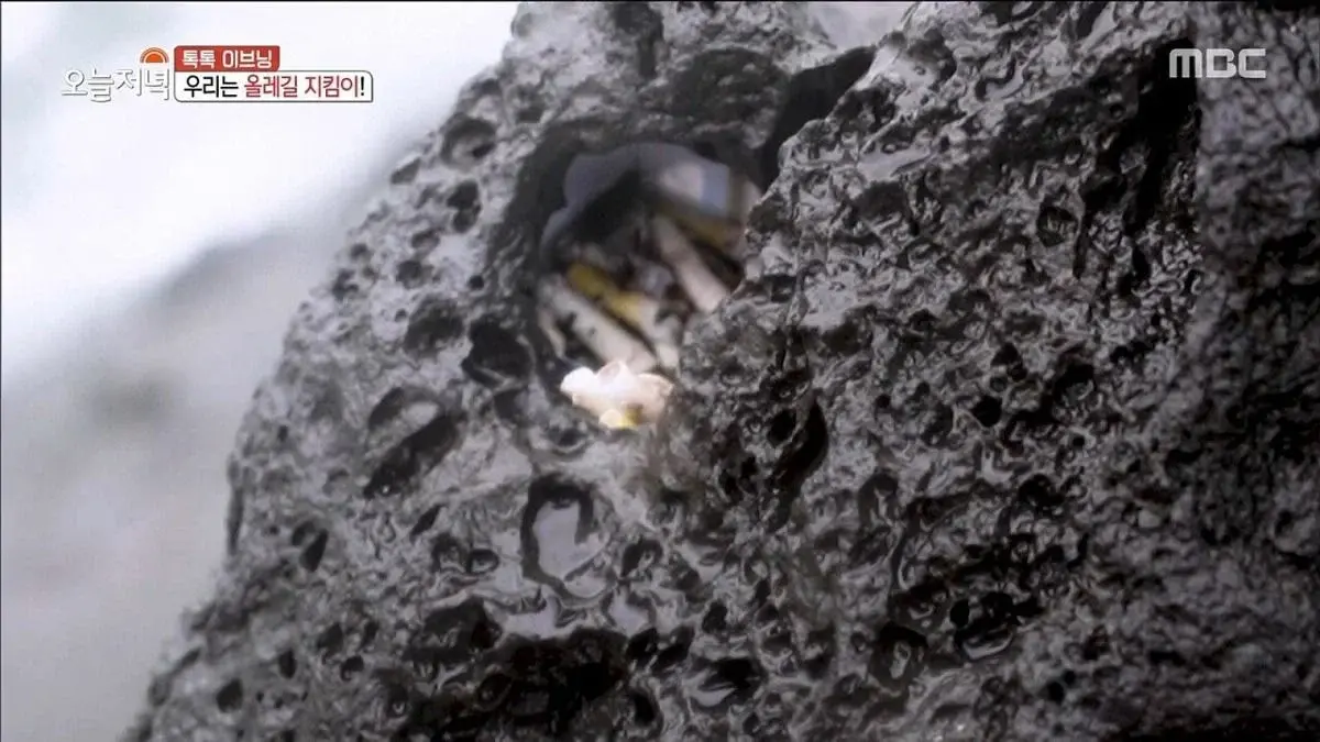 제주도에 있는 현무암 재떨이.jpg | 인스티즈