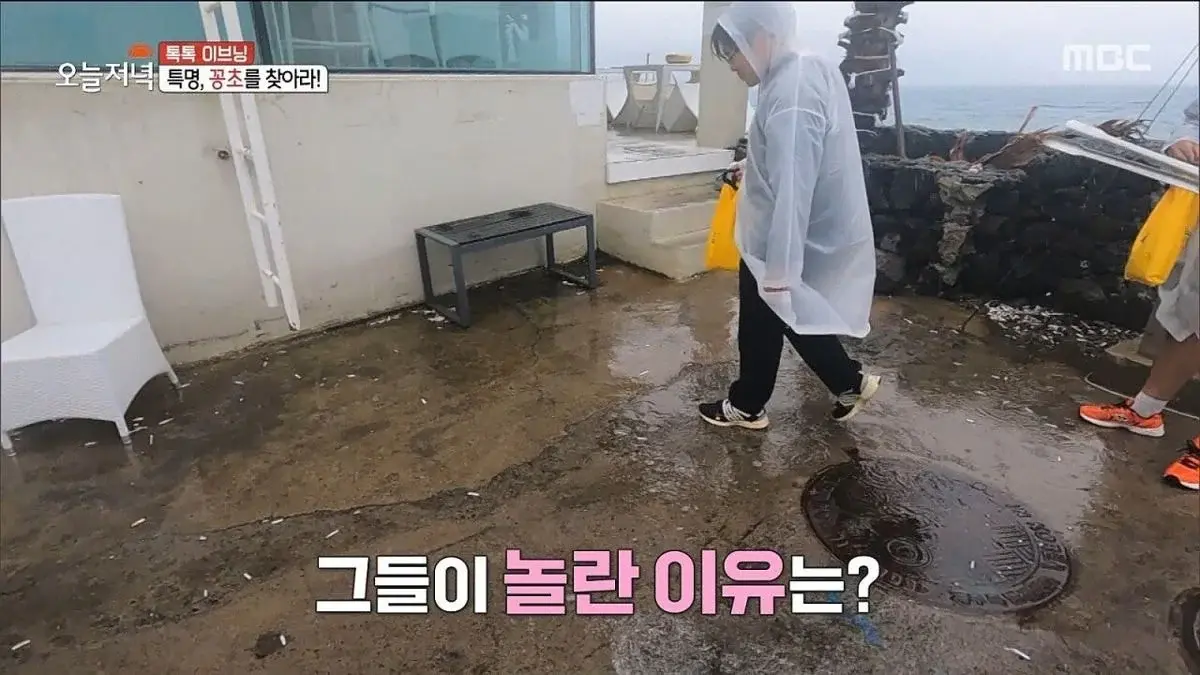 제주도에 있는 현무암 재떨이.jpg | 인스티즈