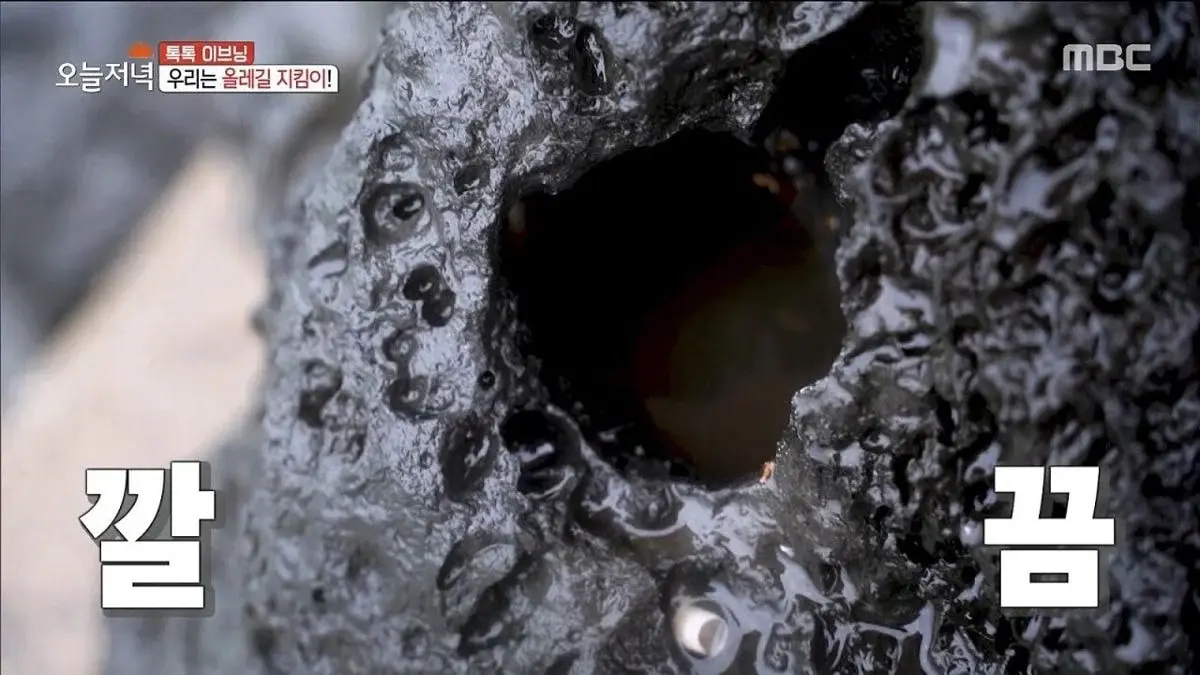 제주도에 있는 현무암 재떨이.jpg | 인스티즈