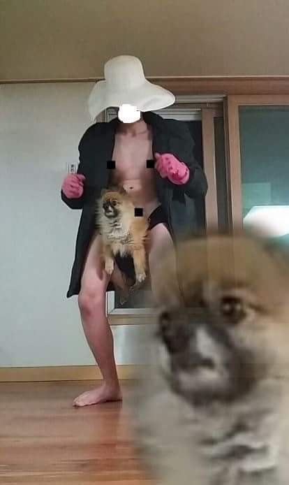 주인 잘 만나야하는 이유.jpg | 인스티즈