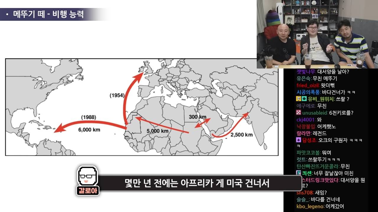 새 수준으로 날아다닌다는 메뚜기 떼의 비행능력 | 인스티즈