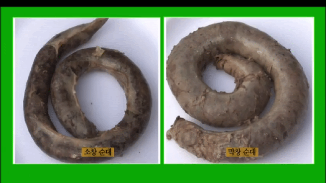 한국인의 밥상 순대편 | 인스티즈