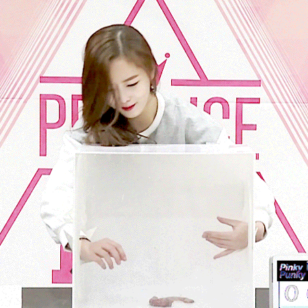 프로듀스 101 비주얼 멤버 정은우 | 인스티즈