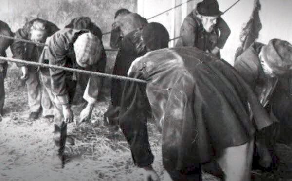 충격적인 산업혁명 영국노동자 숙소 | 인스티즈