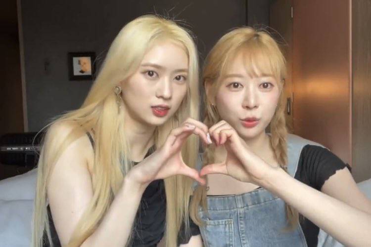 [잡담] 손크기 차이봐..ㄷㄷ - 인스티즈(instiz) 연예 카테고리