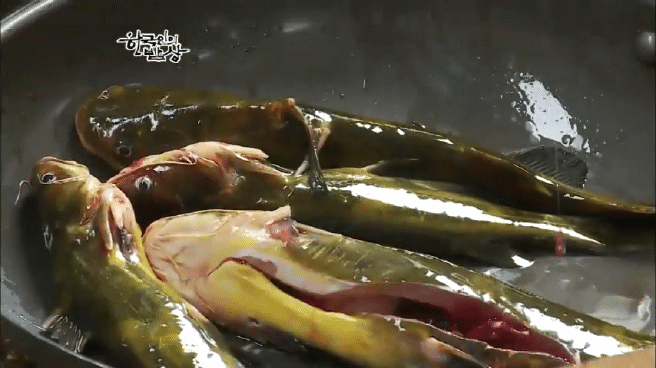 한국인의 밥상 옥천 민물고기 밥상편 | 인스티즈