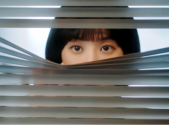 [우영우] 영우의 한바다 상괭이 관찰일지 | 인스티즈