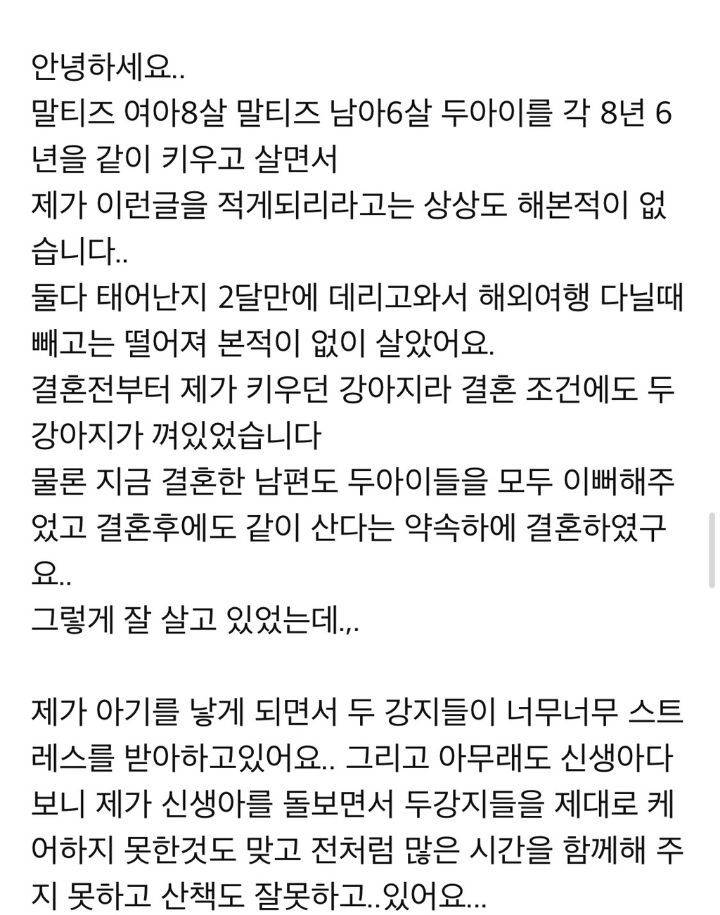 강아지 분양 보낼 때 신혼부부는 1순위로 거르는 이유.JPG | 인스티즈