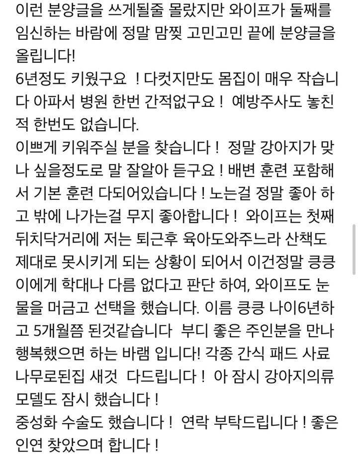 강아지 분양 보낼 때 신혼부부는 1순위로 거르는 이유.JPG | 인스티즈