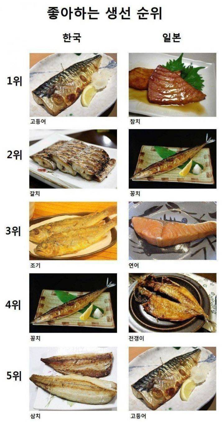 재미로 보는 한국 일본 생선취향 | 인스티즈