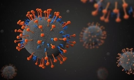 "중국서 신종 인수공통 바이러스 발견" | 인스티즈