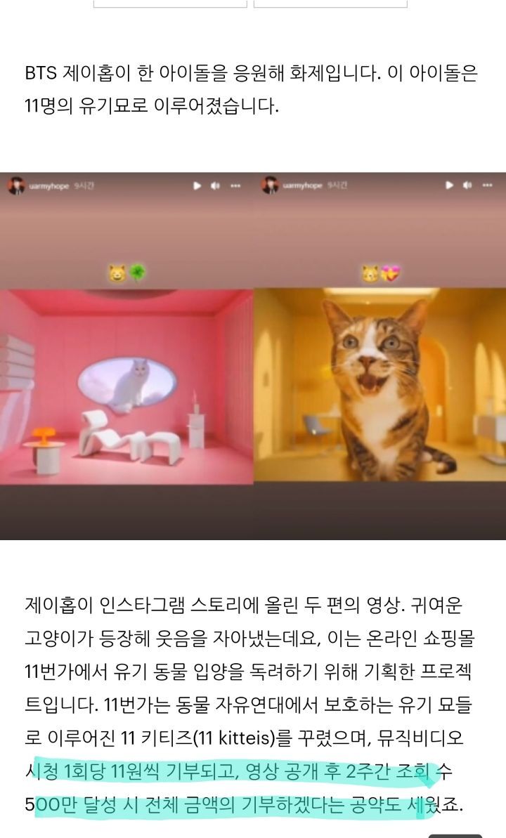 유기묘 구조해서 입양 가지 찾아준 제이홉 | 인스티즈