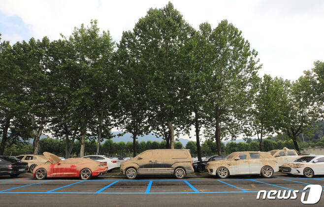 서울대공원 주차장에 모인 침수차량들 | 인스티즈
