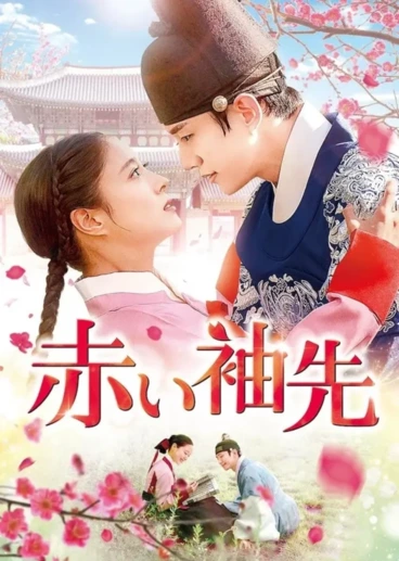 MBC 드라마 옷소매 붉은 끝동 일본 포스터 | 인스티즈