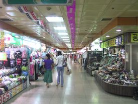 경기도 1기 신도시 성남 분당신도시 | 인스티즈