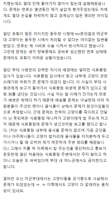 동두천 미군부대 캣맘의 하소연 | 인스티즈
