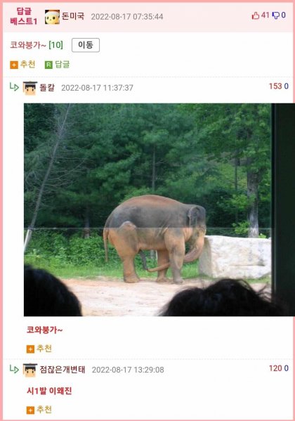 코끼리 ㅈㅇ하는 사진.jpg | 인스티즈