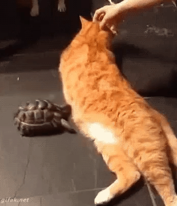 나 좀 지나가자 | 인스티즈