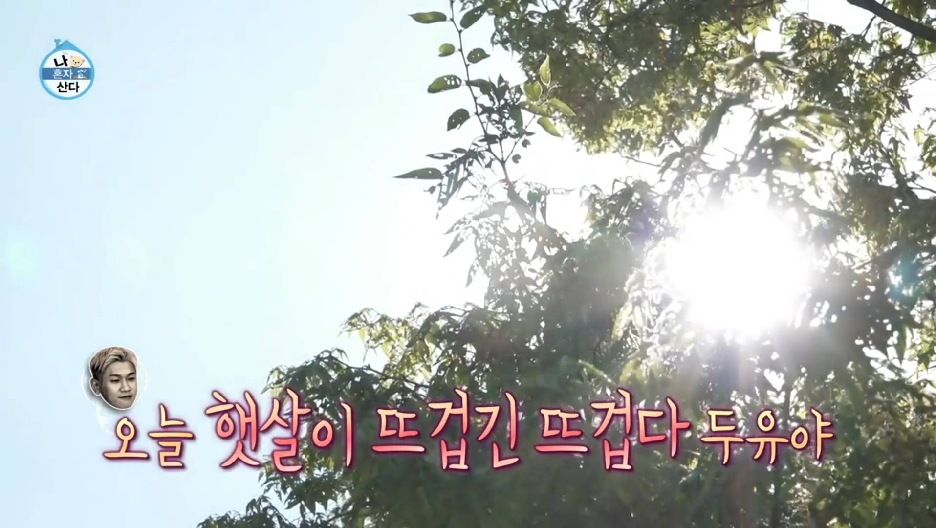 nokbeon.net-하루에 4번씩 산책하는 크러쉬 [나혼자산다]-50번 이미지