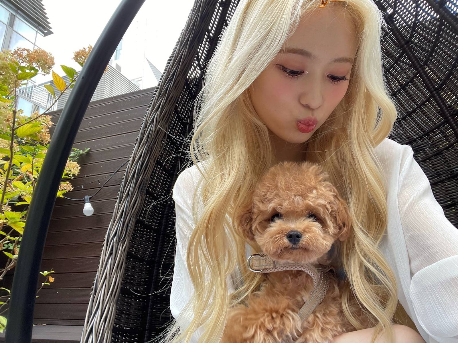 [잡담] 메이네 강쥐 진짜 인형인 줄 알았어ㅋㅋㅋㅋㅋㅋ | 인스티즈