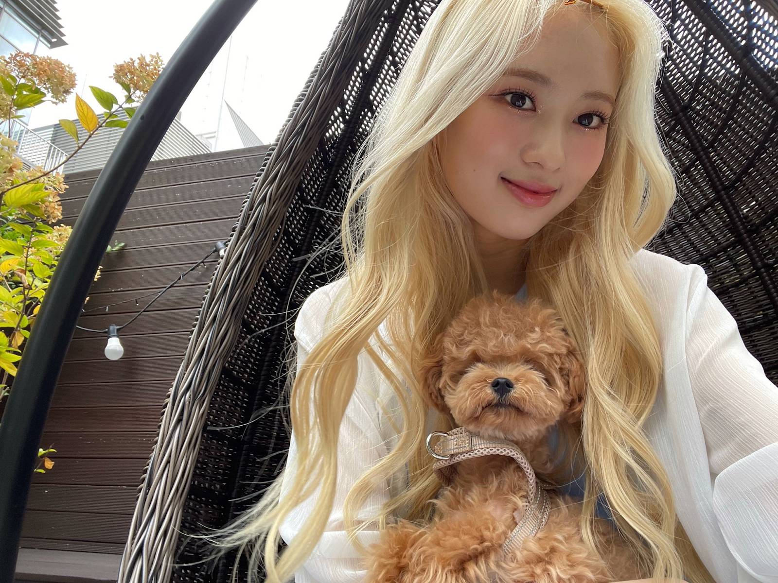 [잡담] 메이네 강쥐 진짜 인형인 줄 알았어ㅋㅋㅋㅋㅋㅋ | 인스티즈