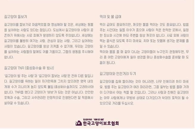 한국고양이보호협회(고보협) 23년도 탁상용/벽걸이용 캘린더 출시! 😸💕💖 | 인스티즈