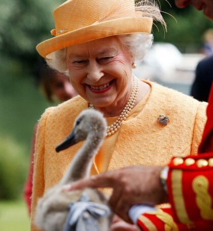 영국 여왕의 15가지 특권 | 인스티즈