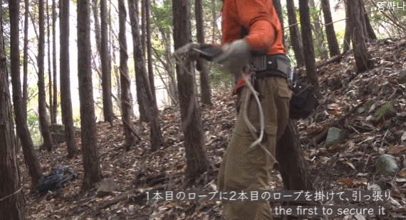 일본 사냥 유튜버의 멧돼지 사냥 .gif (혐오주의) | 인스티즈