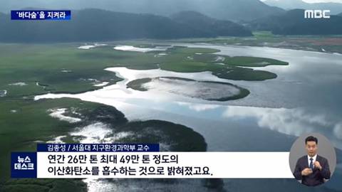 NASA"한국 남해 놀랍다.” | 인스티즈