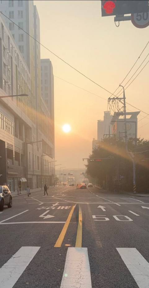 아 머야 출근길 예뻐서 사진찍었는데 | 인스티즈