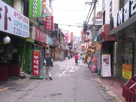 경기도 1기 신도시 성남 분당신도시 | 인스티즈