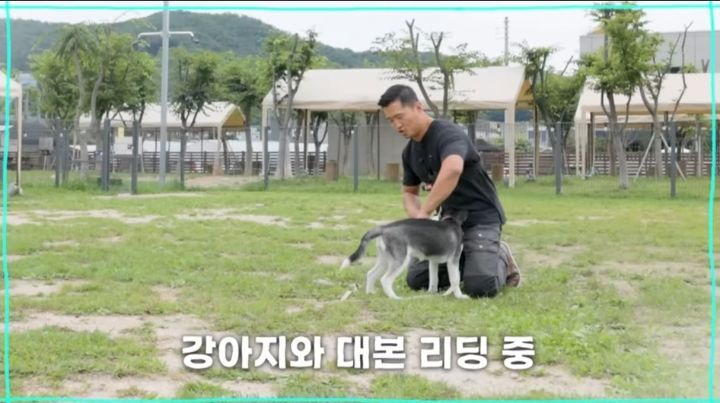 강형욱 주작 의혹 - 인스티즈(Instiz) 인티포털 카테고리