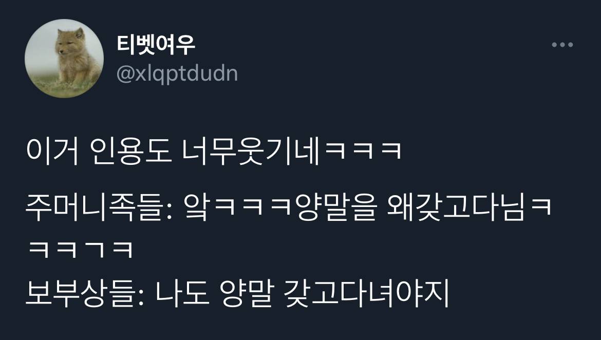 나 이삿짐 속에서 양말 못찾아서 맨발로 나와 오돌오돌 떨고 있는데 보부상친구가 뒤적뒤적하더니.twt | 인스티즈