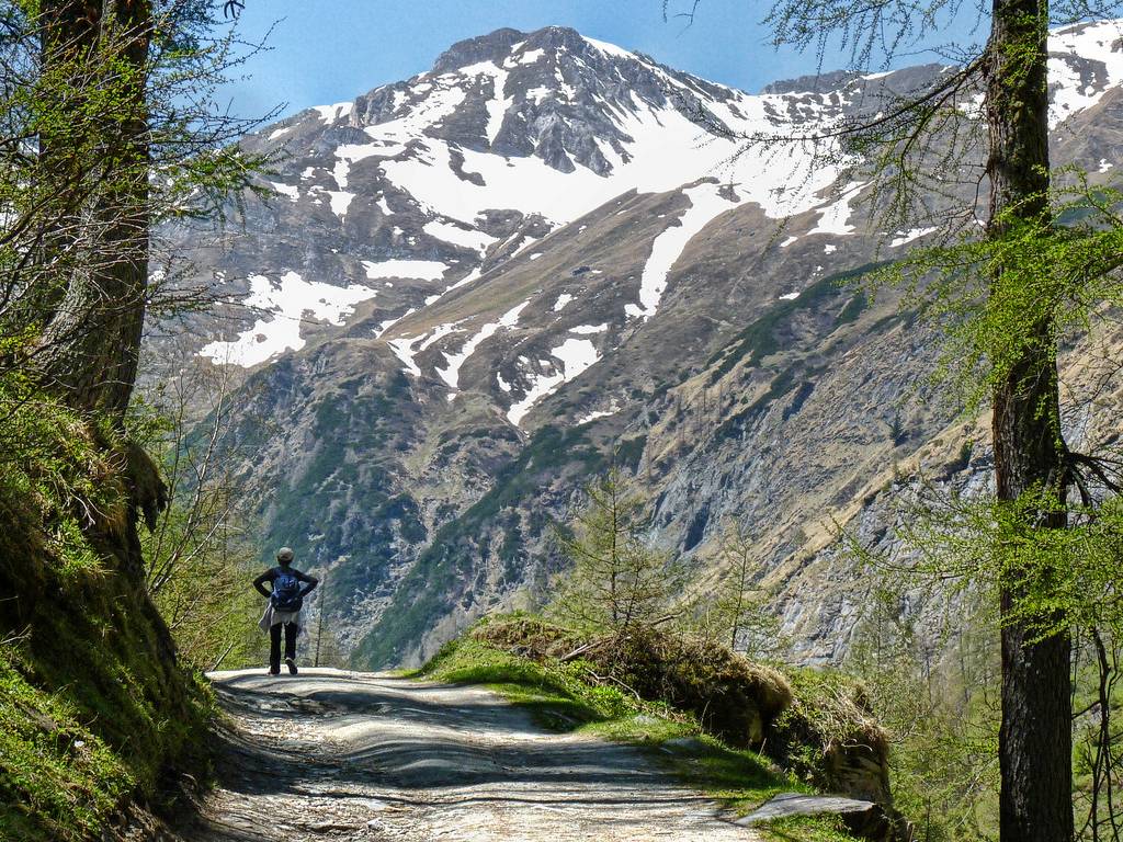 밖으로 나가고 싶게 만드는 사진들 | 인스티즈