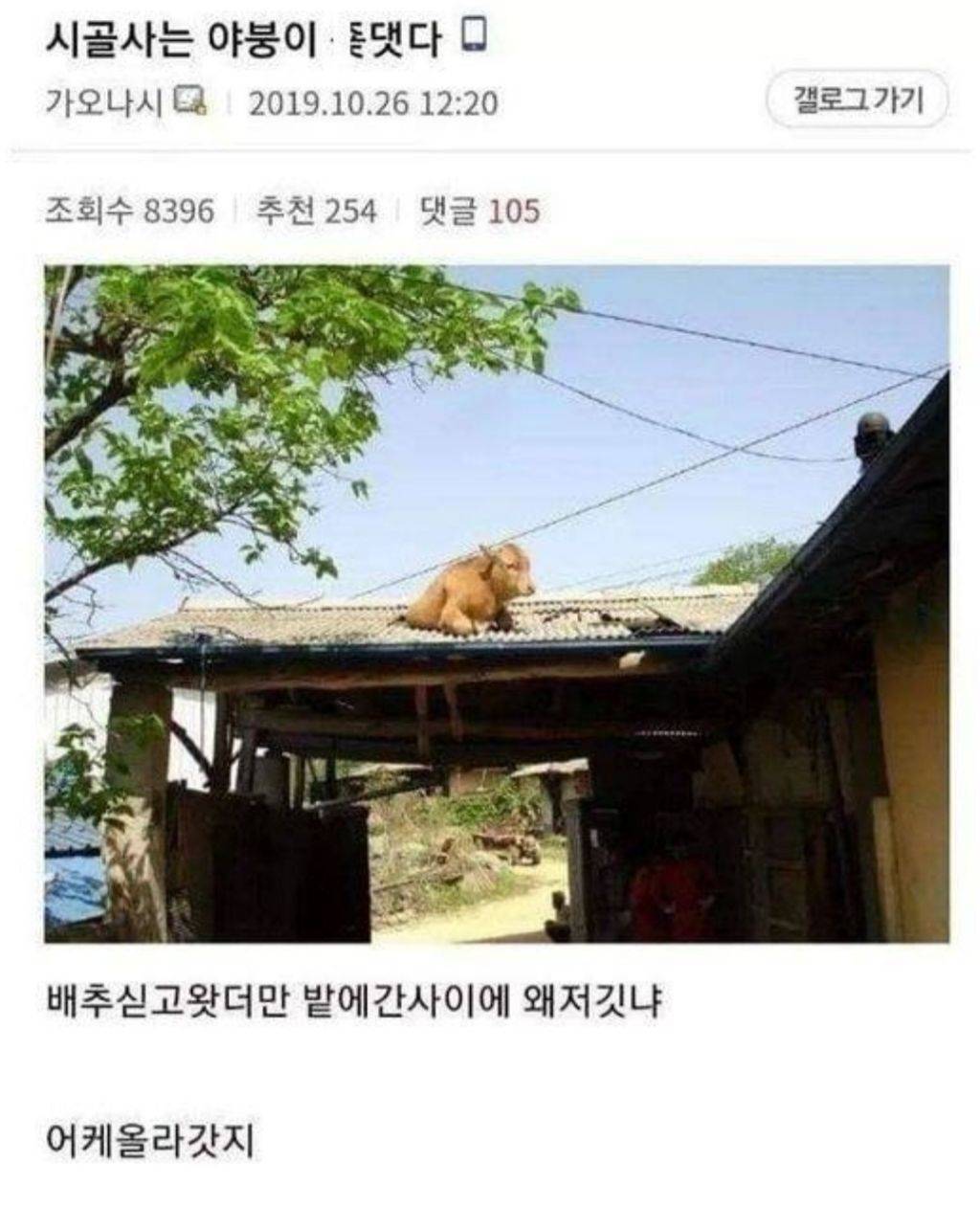 시골 사는데 x됐다 | 인스티즈