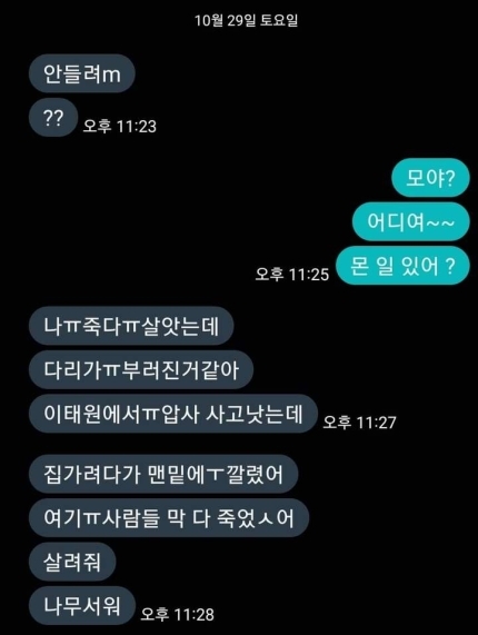 "딸 업고 1㎞ 넘게 달렸다” 이태원 생존자 부친 증언 | 인스티즈