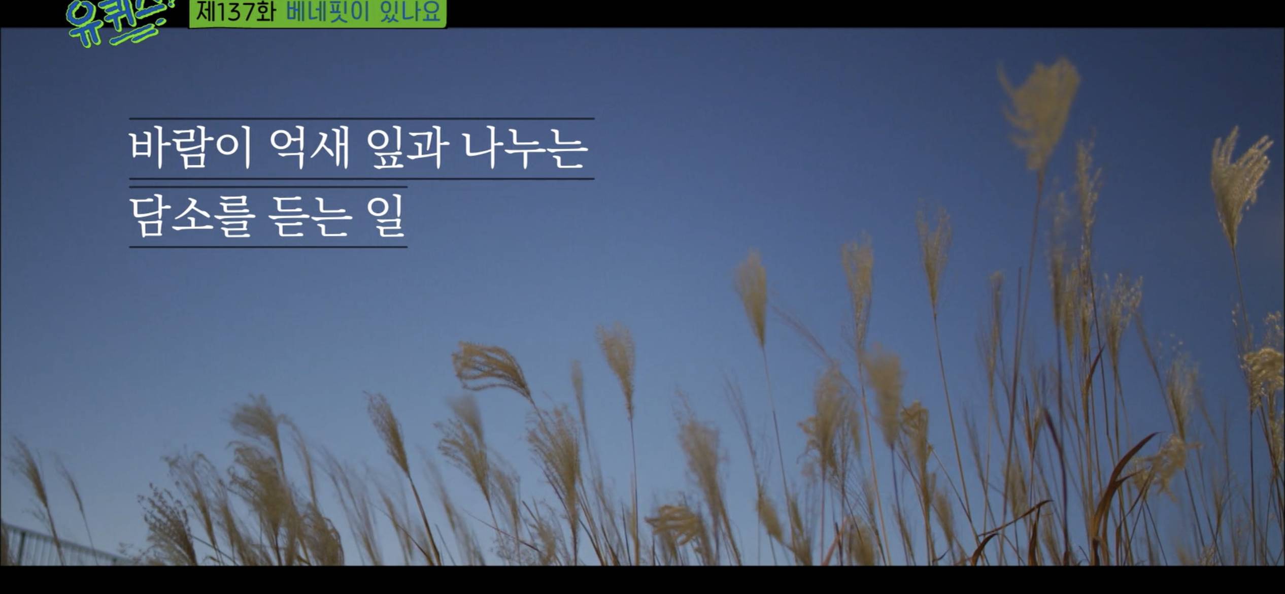 [유퀴즈] 무탈한 하루를 보냈다면 아무 일 없이 무료했던게 아니고 위기의 순간들이 전부 나를 비껴갈 만큼 행운이 따랐던 것이다 | 인스티즈