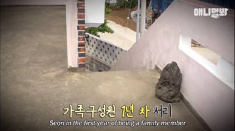 nokbeon.net-새로 생긴 가족이 너무 좋았던 강아지가 매일 한 행동.jpg-36번 이미지