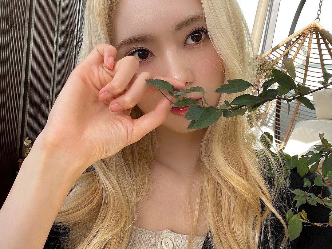 [잡담] 메이 금발하고 진짜 매일 레전드찍는듯 | 인스티즈