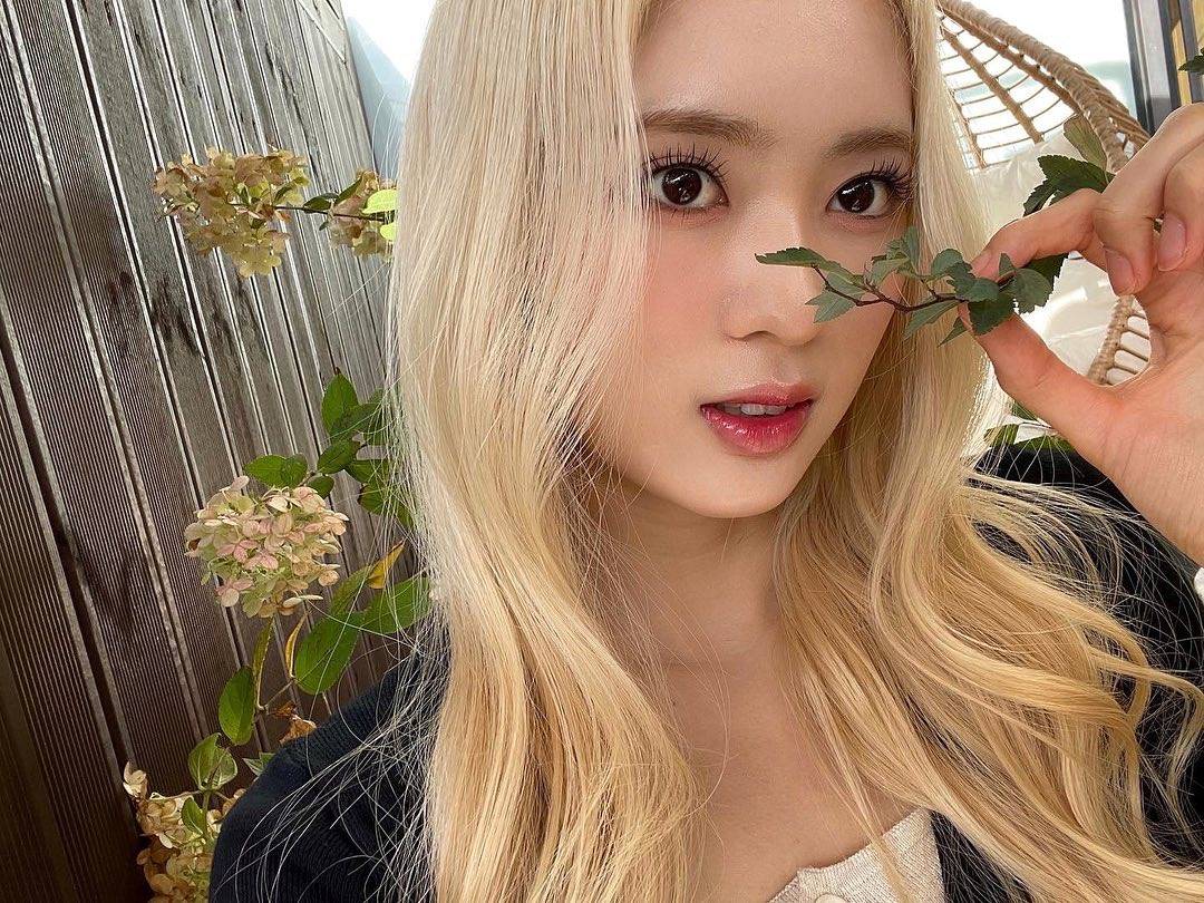 [잡담] 메이 금발하고 진짜 매일 레전드찍는듯 | 인스티즈