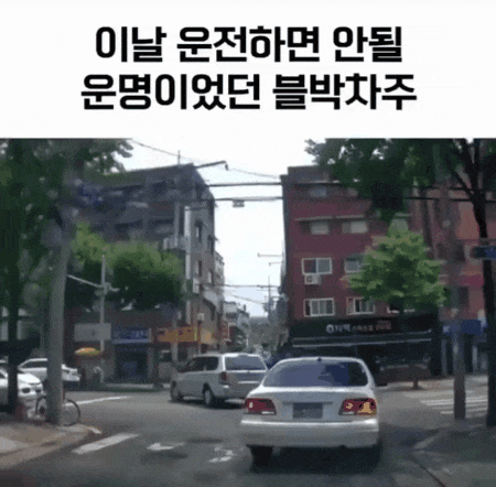 nokbeon.net-운전하면 안 될 운명이었던 블박 차주.gif-1번 이미지