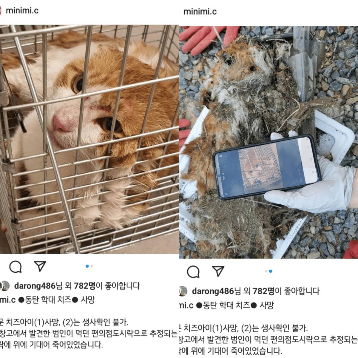 무죄 받기 위해 변호사7명을 고용한 동탄 고양이 학대살해범 (사진주의) | 인스티즈