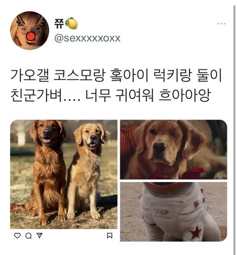 가디언즈 오브 갤럭시 홀리데이 스페셜 삽입곡(+가오갤 홀리데이스페셜 봐야하는 이유) | 인스티즈