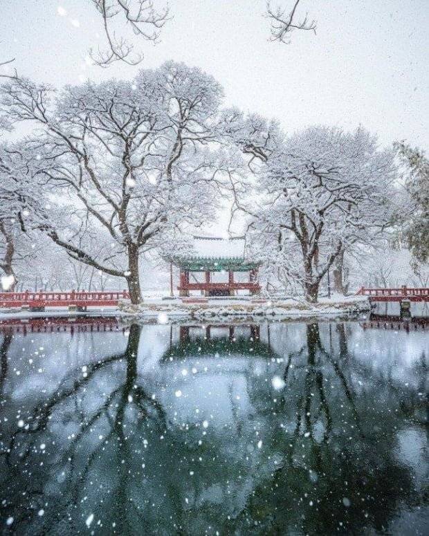 레딧에 올라온 한국의 겨울 | 인스티즈
