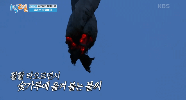 한국 전통 불꽃놀이, 낙화놀이 근황 | 인스티즈