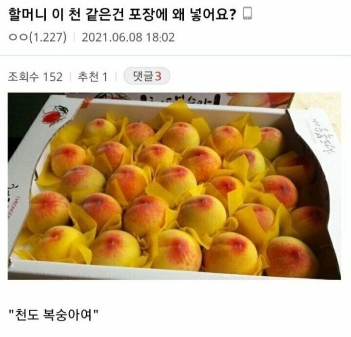 할머니 이 천 같은건 포장에 왜 넣어요 | 인스티즈